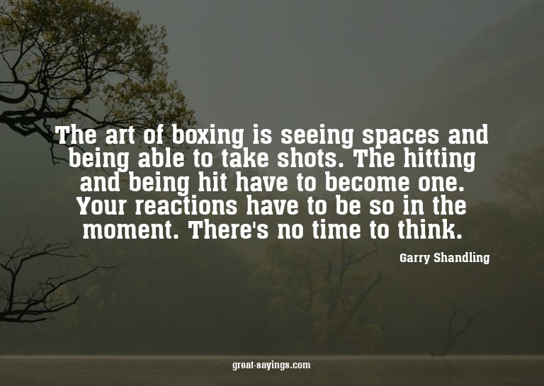 The art of boxing is seeing spaces and being able to ta