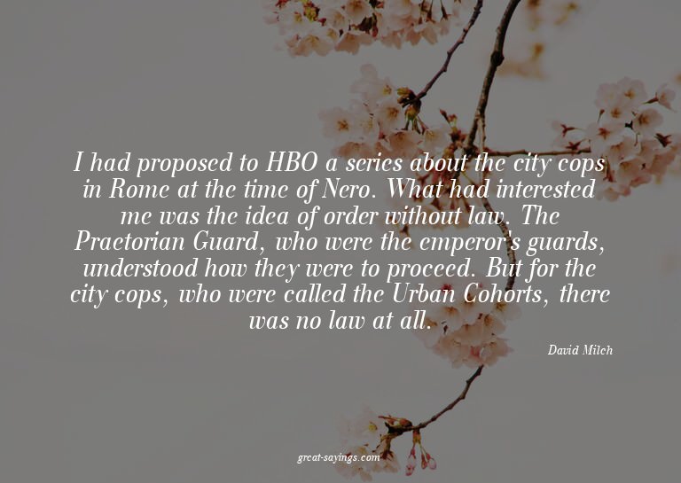 I had proposed to HBO a series about the city cops in R