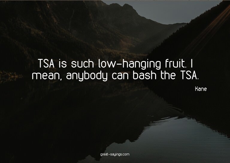 TSA is such low-hanging fruit. I mean, anybody can bash