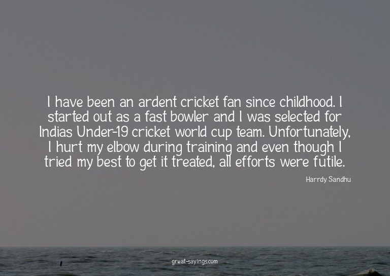 I have been an ardent cricket fan since childhood. I st