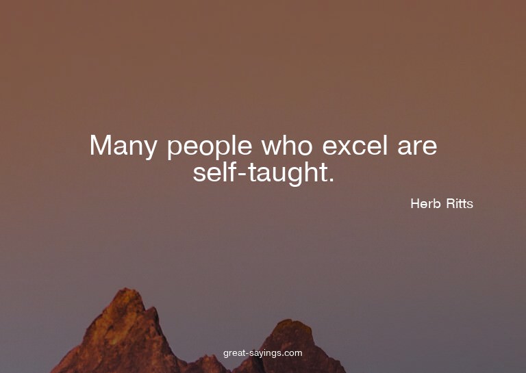 Many people who excel are self-taught.

