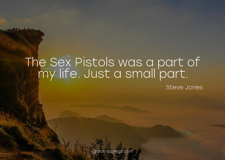 The Sex Pistols was a part of my life. Just a small par