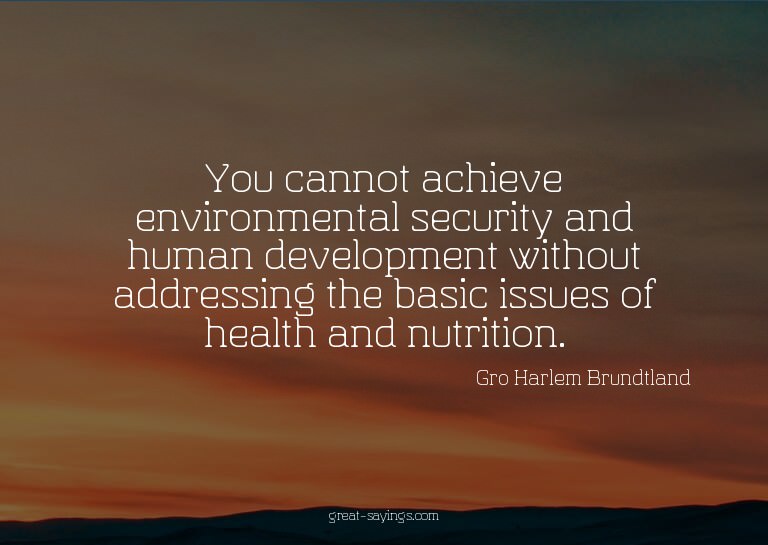 You cannot achieve environmental security and human dev