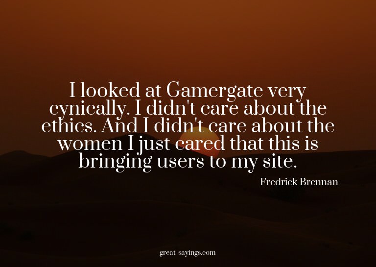 I looked at Gamergate very cynically. I didn't care abo