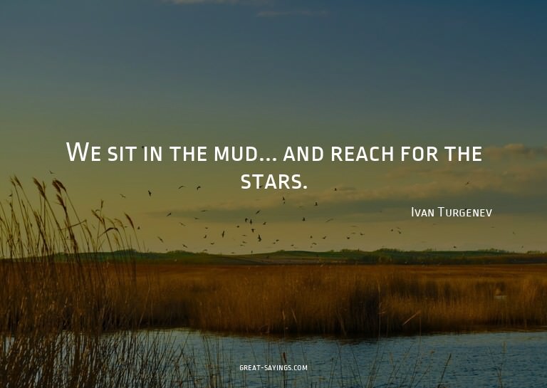 We sit in the mud... and reach for the stars.

