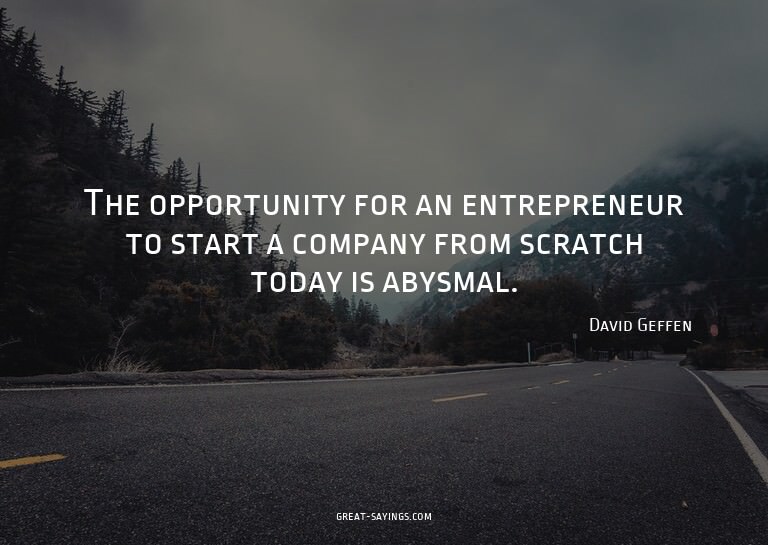 The opportunity for an entrepreneur to start a company