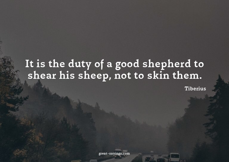 It is the duty of a good shepherd to shear his sheep, n