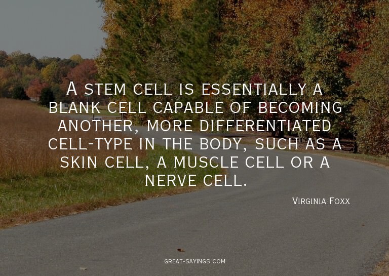 A stem cell is essentially a blank cell capable of beco