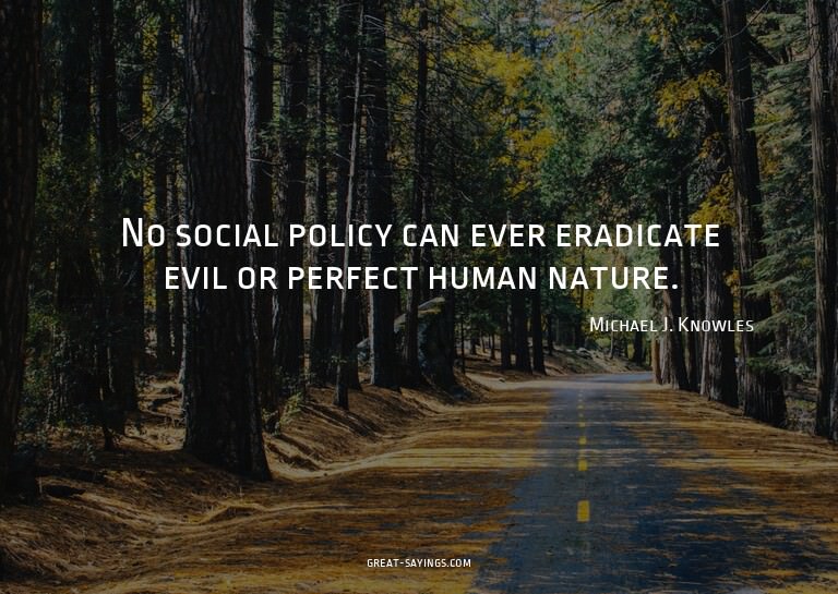 No social policy can ever eradicate evil or perfect hum