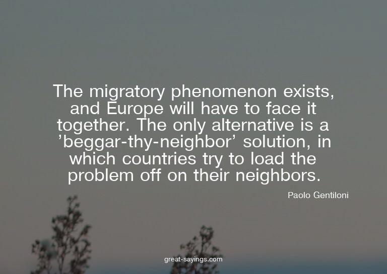 The migratory phenomenon exists, and Europe will have t