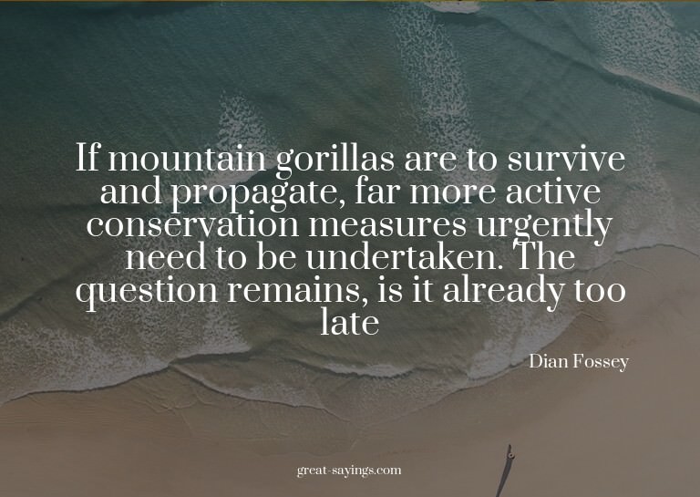 If mountain gorillas are to survive and propagate, far