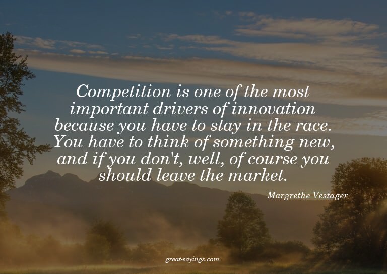 Competition is one of the most important drivers of inn