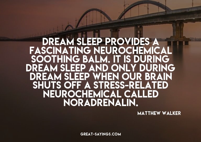 Dream sleep provides a fascinating neurochemical soothi