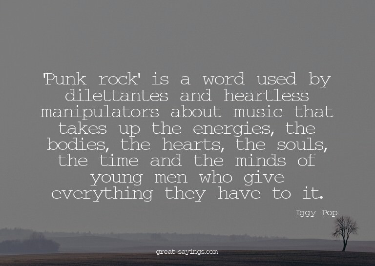 'Punk rock' is a word used by dilettantes and heartless