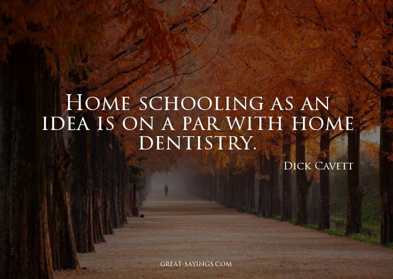Home schooling as an idea is on a par with home dentist