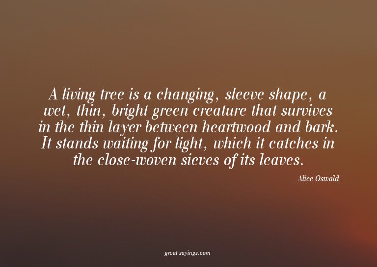 A living tree is a changing, sleeve shape, a wet, thin,
