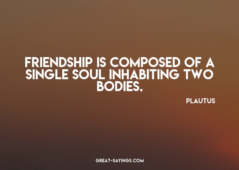 Friendship is composed of a single soul inhabiting two