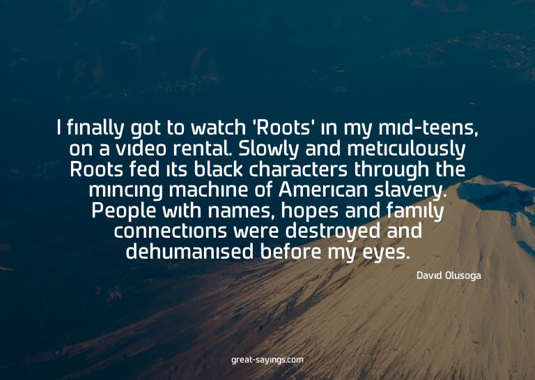 I finally got to watch 'Roots' in my mid-teens, on a vi