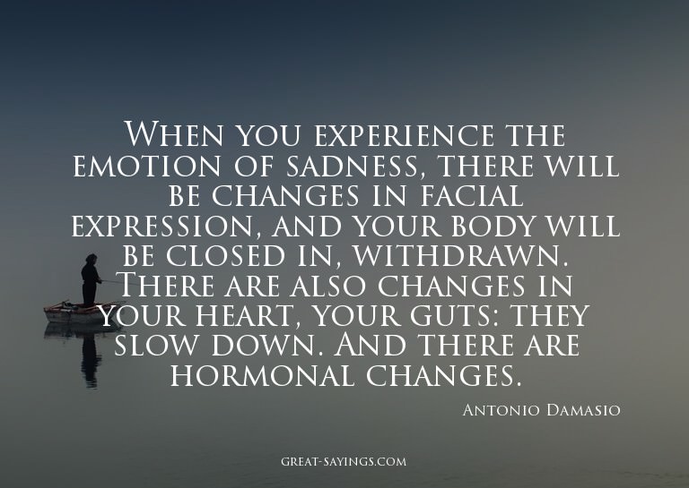 When you experience the emotion of sadness, there will