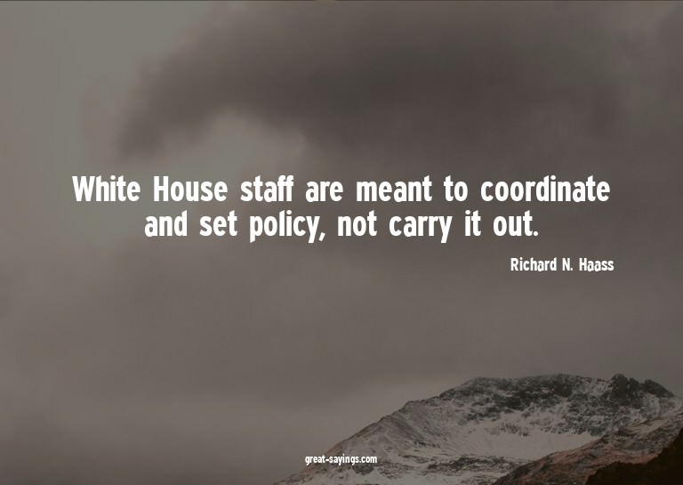 White House staff are meant to coordinate and set polic
