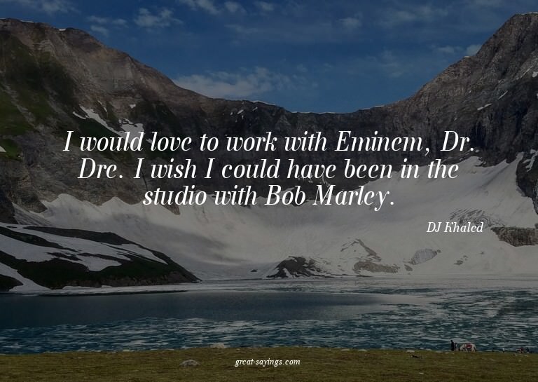 I would love to work with Eminem, Dr. Dre. I wish I cou