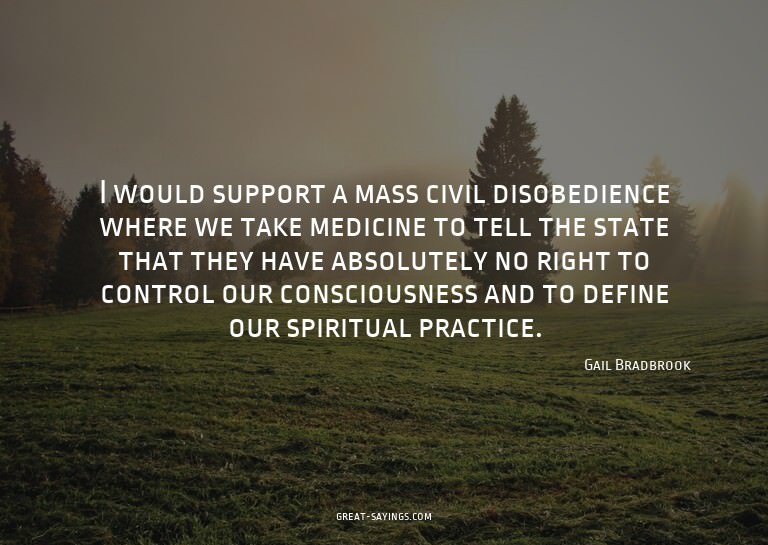 I would support a mass civil disobedience where we take