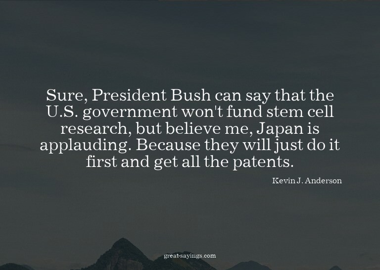 Sure, President Bush can say that the U.S. government w