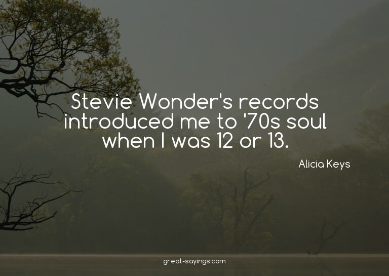 Stevie Wonder's records introduced me to '70s soul when