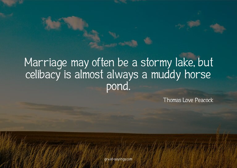 Marriage may often be a stormy lake, but celibacy is al