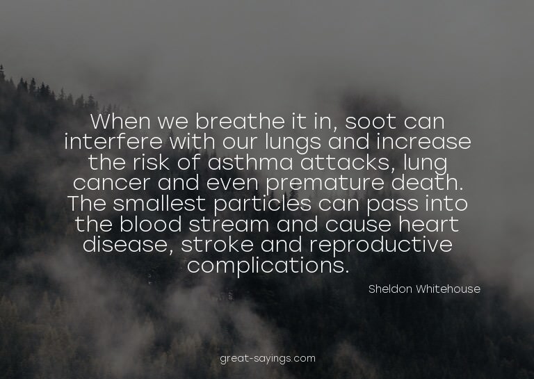 When we breathe it in, soot can interfere with our lung