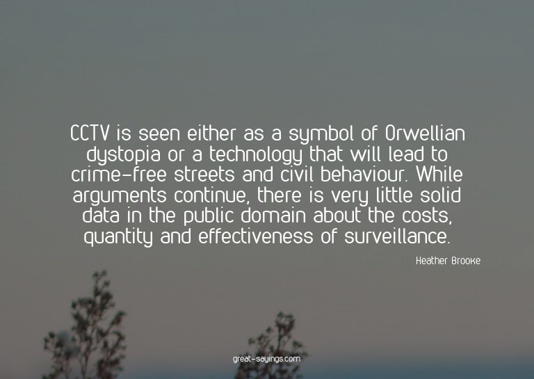CCTV is seen either as a symbol of Orwellian dystopia o