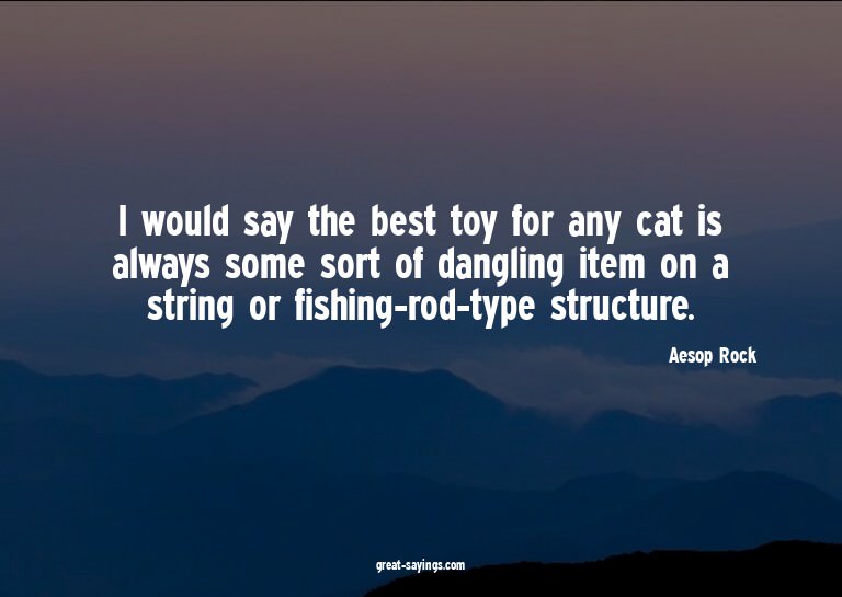 I would say the best toy for any cat is always some sor