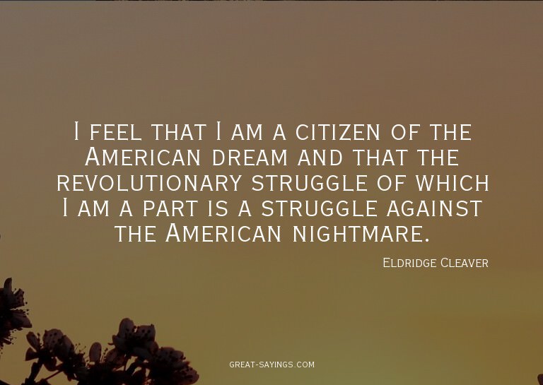 I feel that I am a citizen of the American dream and th