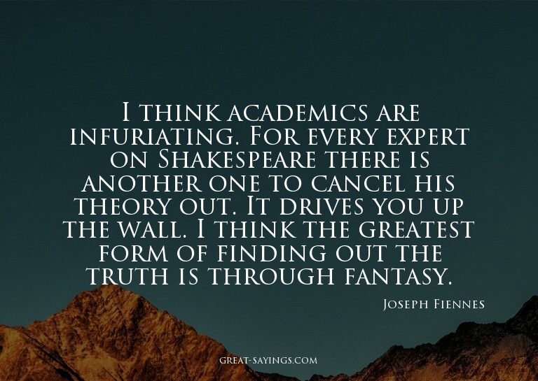 I think academics are infuriating. For every expert on