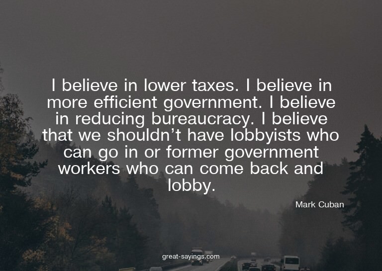 I believe in lower taxes. I believe in more efficient g