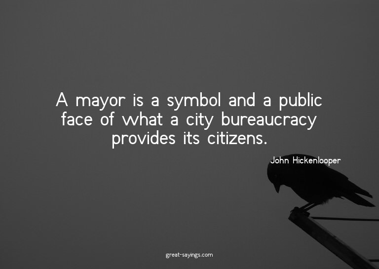 A mayor is a symbol and a public face of what a city bu