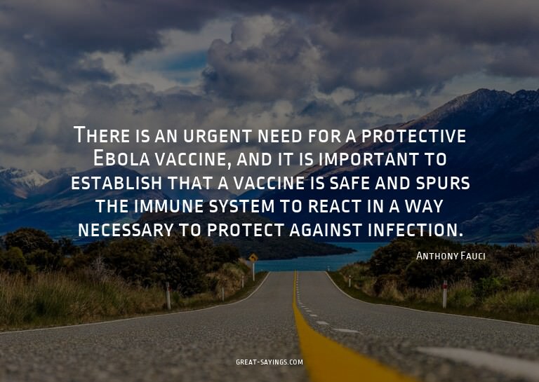 There is an urgent need for a protective Ebola vaccine,