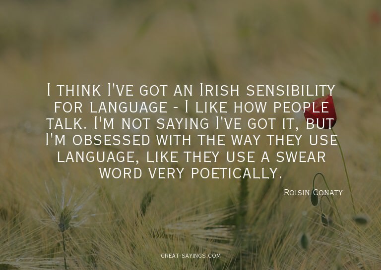 I think I've got an Irish sensibility for language - I