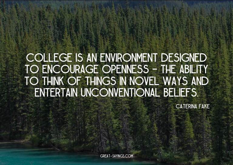 College is an environment designed to encourage opennes