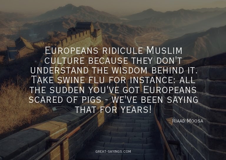 Europeans ridicule Muslim culture because they don't un