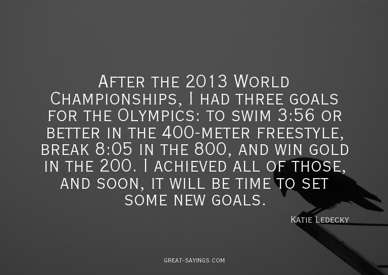 After the 2013 World Championships, I had three goals f