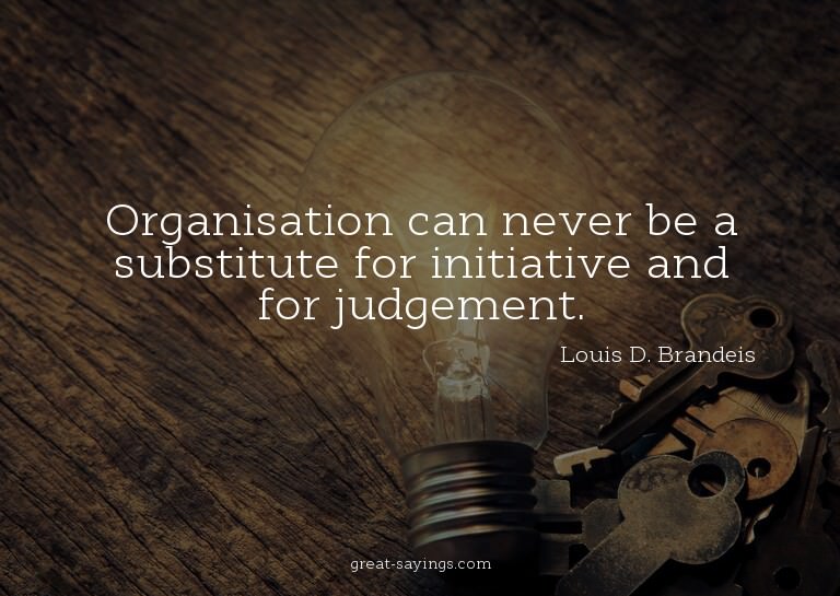 Organisation can never be a substitute for initiative a
