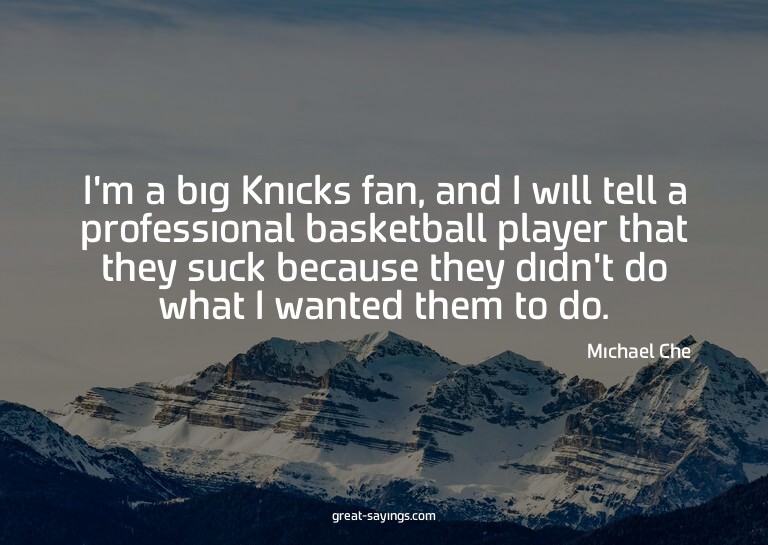 I'm a big Knicks fan, and I will tell a professional ba