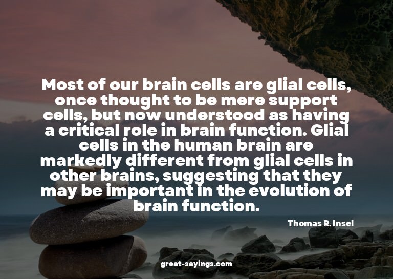 Most of our brain cells are glial cells, once thought t