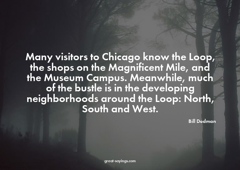 Many visitors to Chicago know the Loop, the shops on th