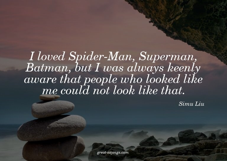 I loved Spider-Man, Superman, Batman, but I was always