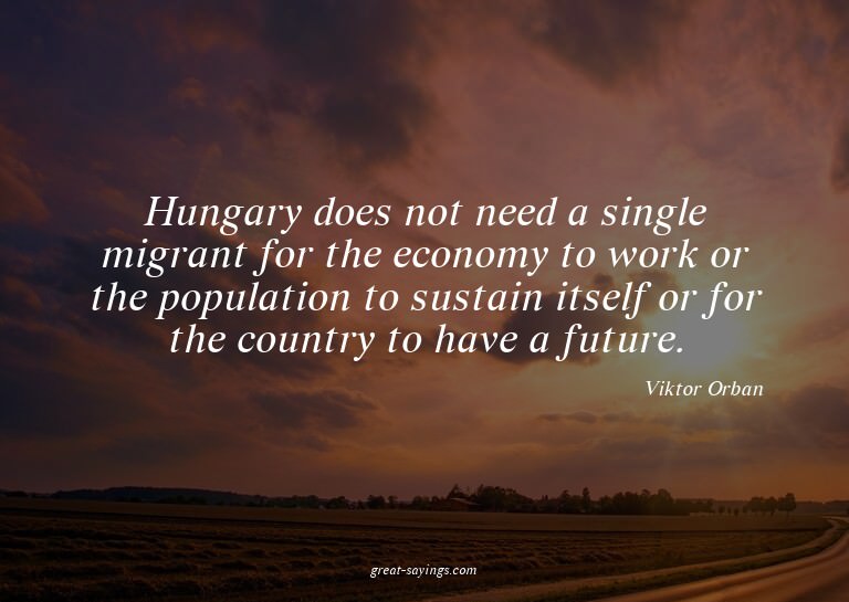 Hungary does not need a single migrant for the economy