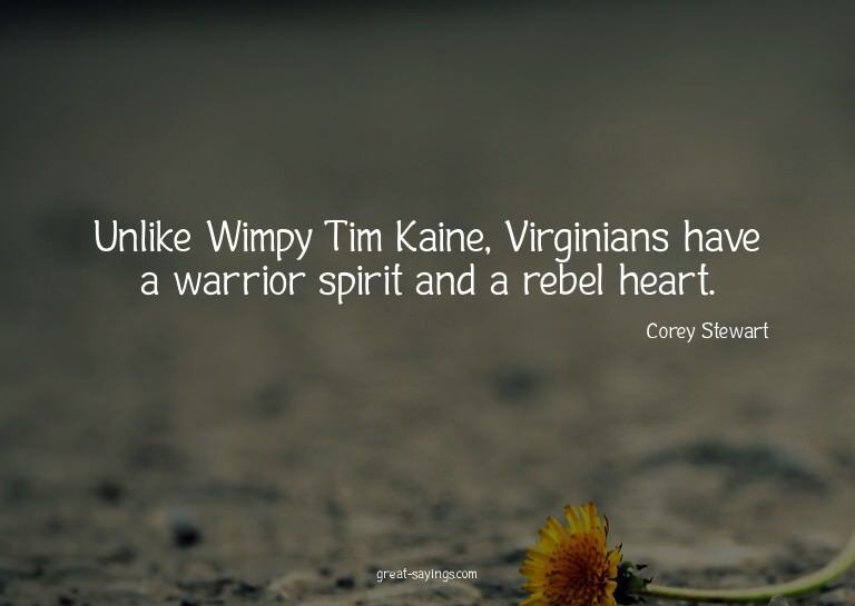 Unlike Wimpy Tim Kaine, Virginians have a warrior spiri