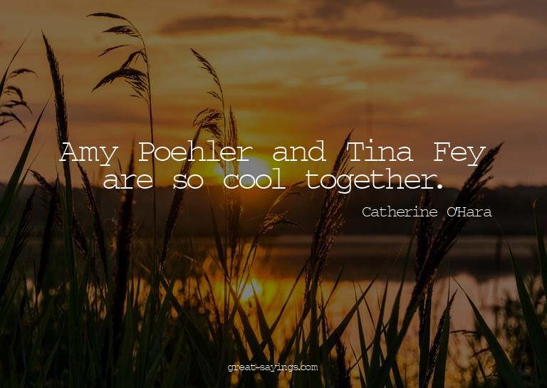 Amy Poehler and Tina Fey are so cool together.

