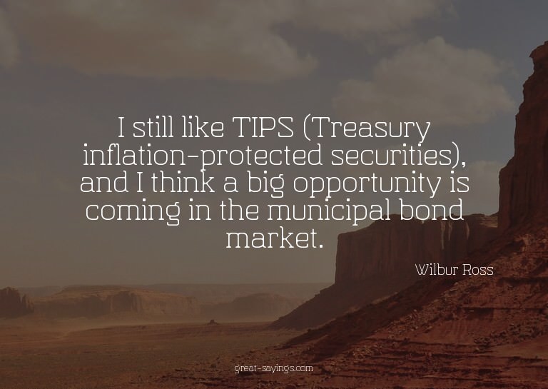 I still like TIPS (Treasury inflation-protected securit